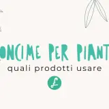 Concimi per piante con elementi minerali essenziali, per bonsai e piante da interno.