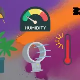 Grafica che illustra la **tabella temperatura umidità ideale** per le piante: lampada, pianta, ventilatore, igrometro e termometri.