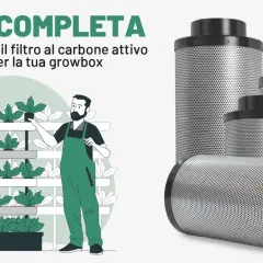 Guida completa per scegliere il filtro carboni attivi giusto per la tua growbox. Illustrazione di un uomo che cura piante in growbox e filtri al carbone attivo.