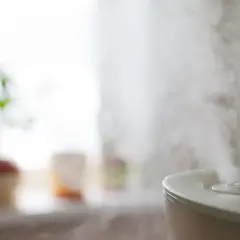Vapore esce da un umidificatore, creando un'atmosfera rilassante. Sullo sfondo, piante in vaso.