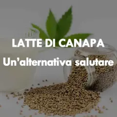 Un bicchiere di latte di canapa accanto a semi di canapa sparsi. Un'alternativa salutare per la tua dieta.