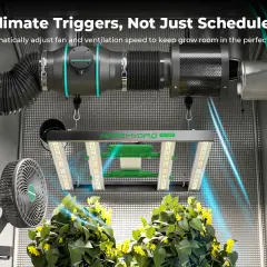 Un fan clima intelligente regola la ventilazione per piante rigogliose. Luce LED e sistema di aspirazione completano l'ambiente.