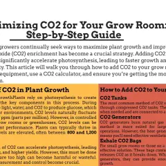 Guida per ottimizzare l'anidride carbonica (CO2) nelle grow room. Aumentare la CO2 accelera la fotosintesi delle piante, favorendo crescita e rese.