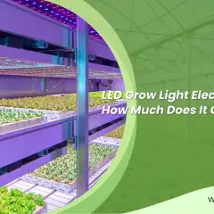 Piante in grow box illuminate da LED viola e rossi. Scopri quanto consuma una grow box per ottimizzare la tua coltivazione.