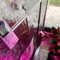 Termometro rosa mostra 23.9°C e 32% umidità, ideale per la crescita di autofiorenti.