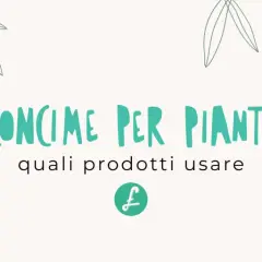 Concimi per piante con elementi minerali essenziali, per bonsai e piante da interno.