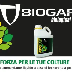 Forza per le tue colture con Humoplant, nuovo ammendante liquido a base di leonardite a pH acido. Dosi ottimali per piante rigogliose.