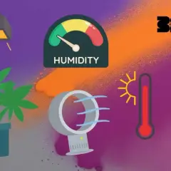 Grafica che illustra la **tabella temperatura umidità ideale** per le piante: lampada, pianta, ventilatore, igrometro e termometri.