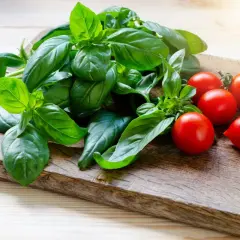 Un fascio di basilico fresco e pomodorini ciliegino su un tagliere di legno. La luce del sole illumina il basilico, creando un'esposizione perfetta per un'insalata estiva.