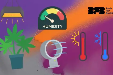 Grafica che illustra la **tabella temperatura umidità ideale** per le piante: lampada, pianta, ventilatore, igrometro e termometri.