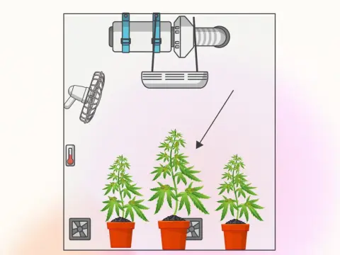 Super cropping - Guida completa per massimizzare la resa