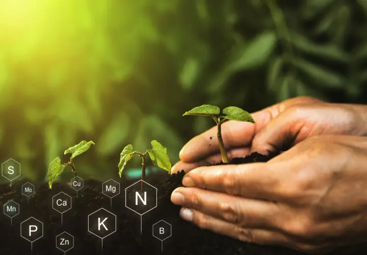 Mani che piantano giovani piantine, circondate da simboli di macroelementi e microelementi essenziali per la crescita.