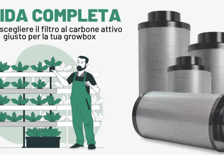 Guida completa per scegliere il filtro carboni attivi giusto per la tua growbox. Illustrazione di un uomo che cura piante in growbox e filtri al carbone attivo.