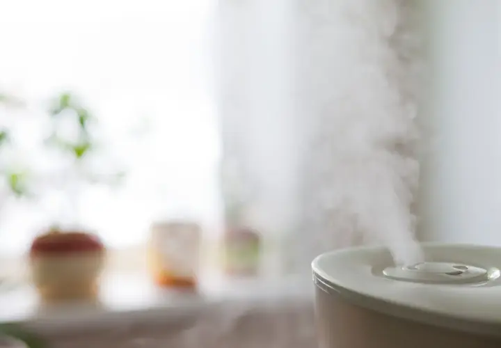 Vapore esce da un umidificatore, creando un'atmosfera rilassante. Sullo sfondo, piante in vaso.