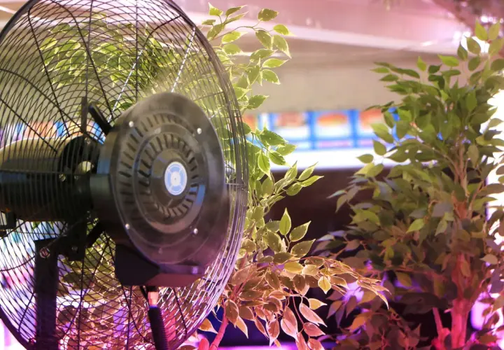 Ventilatore nero tra piante verdi. Un aspiratore muove l'aria, un estrattore la rimuove.