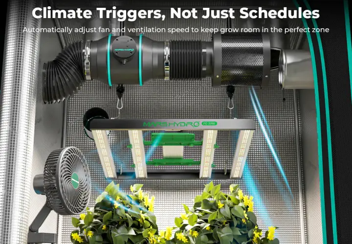 Un fan clima intelligente regola la ventilazione per piante rigogliose. Luce LED e sistema di aspirazione completano l'ambiente.
