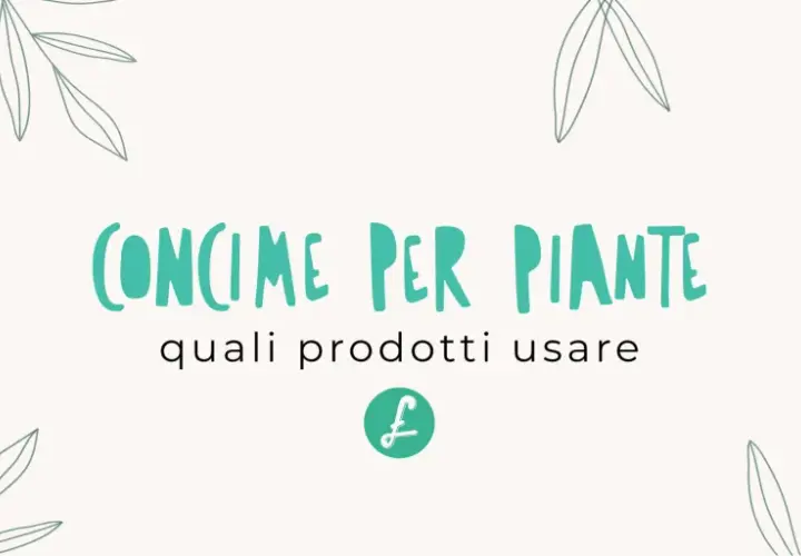 Concimi per piante con elementi minerali essenziali, per bonsai e piante da interno.