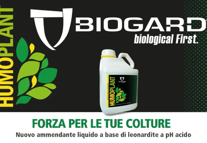 Forza per le tue colture con Humoplant, nuovo ammendante liquido a base di leonardite a pH acido. Dosi ottimali per piante rigogliose.
