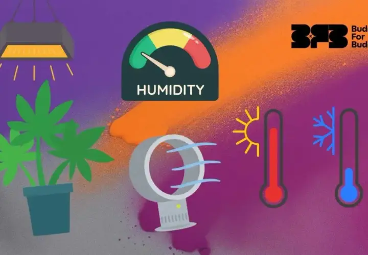 Grafica che illustra la **tabella temperatura umidità ideale** per le piante: lampada, pianta, ventilatore, igrometro e termometri.