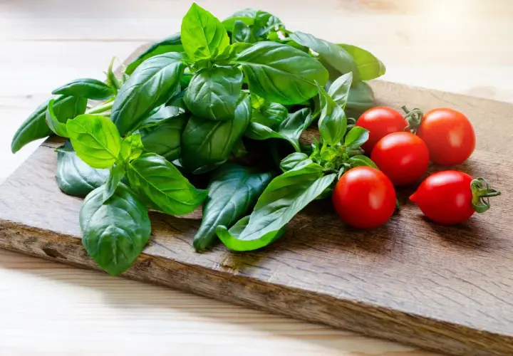 Un fascio di basilico fresco e pomodorini ciliegino su un tagliere di legno. La luce del sole illumina il basilico, creando un'esposizione perfetta per un'insalata estiva.