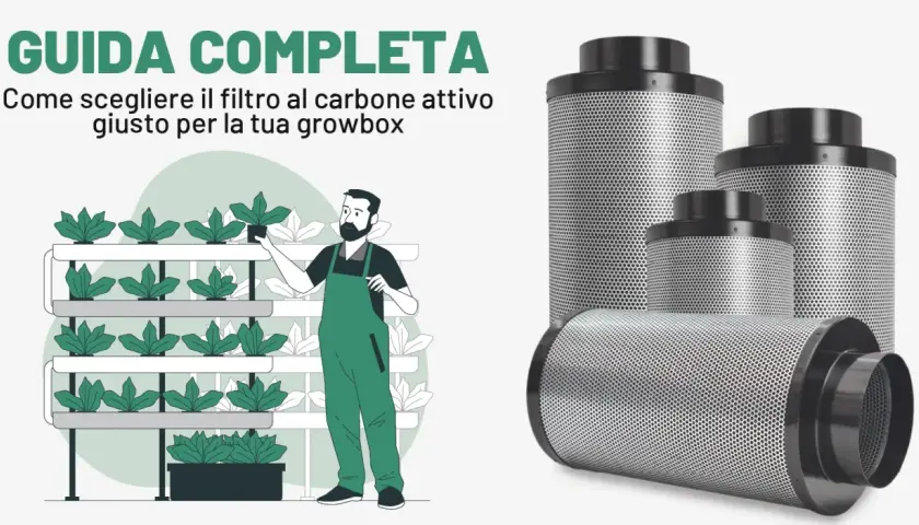 Guida completa per scegliere il filtro carboni attivi giusto per la tua growbox. Illustrazione di un uomo che cura piante in growbox e filtri al carbone attivo.