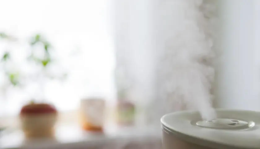 Vapore esce da un umidificatore, creando un'atmosfera rilassante. Sullo sfondo, piante in vaso.