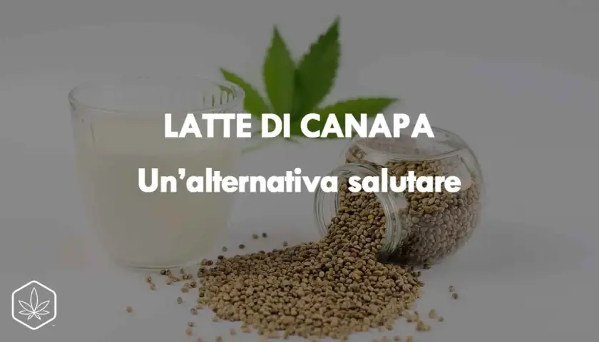 Un bicchiere di latte di canapa accanto a semi di canapa sparsi. Un'alternativa salutare per la tua dieta.