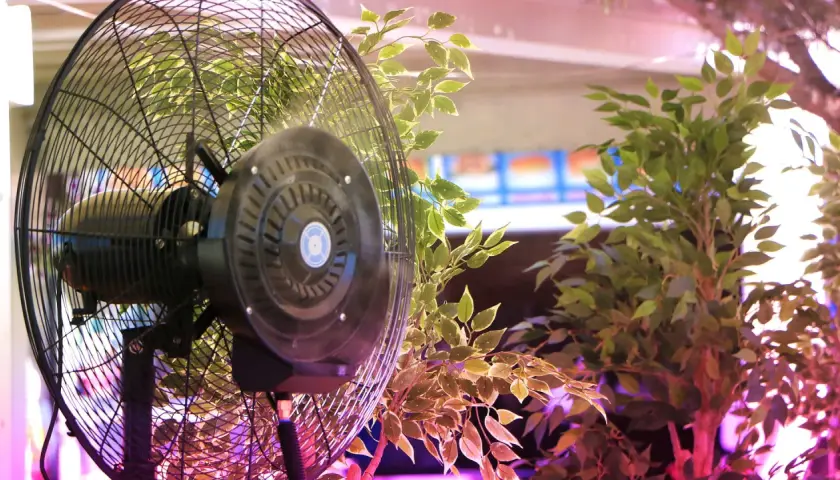 Ventilatore sempre acceso in una grow box, circondato da piante verdi. L'aria circola per garantire la crescita ottimale.