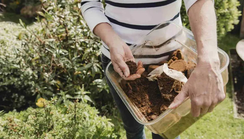 Mani che raccolgono fondi di caffè per creare un fertilizzante naturale fatto in casa, un gesto ecologico per il giardino.