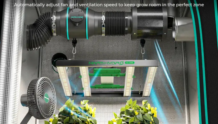 Un fan clima intelligente regola la ventilazione per piante rigogliose. Luce LED e sistema di aspirazione completano l'ambiente.