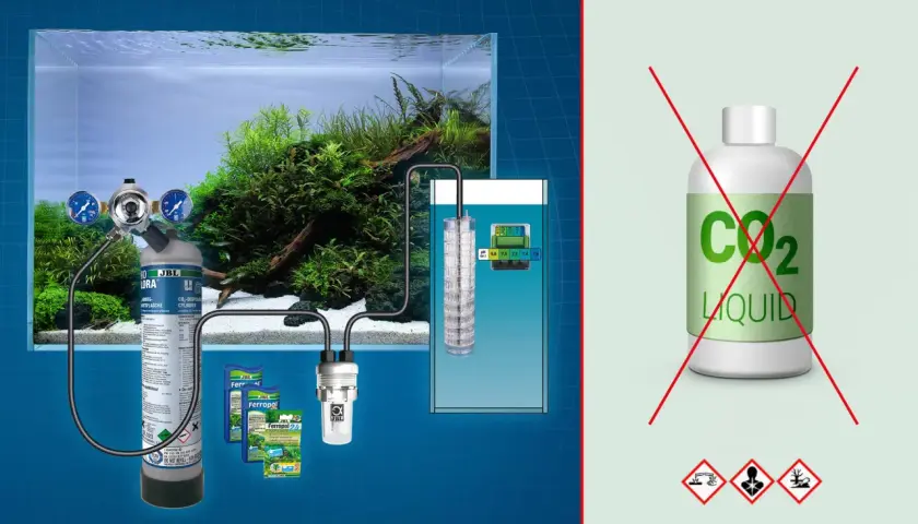 Sistema di fertilizzazione CO2 per acquario con bombola JBL, diffusore e misuratore pH. Evitare l'uso di CO2 LIQUID.