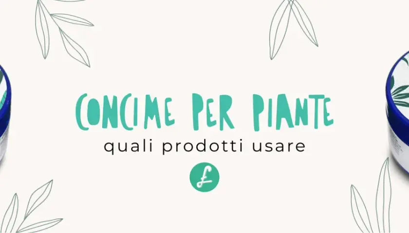 Concimi per piante con elementi minerali essenziali, per bonsai e piante da interno.