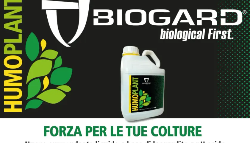 Forza per le tue colture con Humoplant, nuovo ammendante liquido a base di leonardite a pH acido. Dosi ottimali per piante rigogliose.