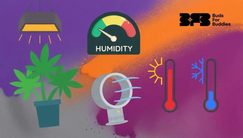 Grafica che illustra la **tabella temperatura umidità ideale** per le piante: lampada, pianta, ventilatore, igrometro e termometri.