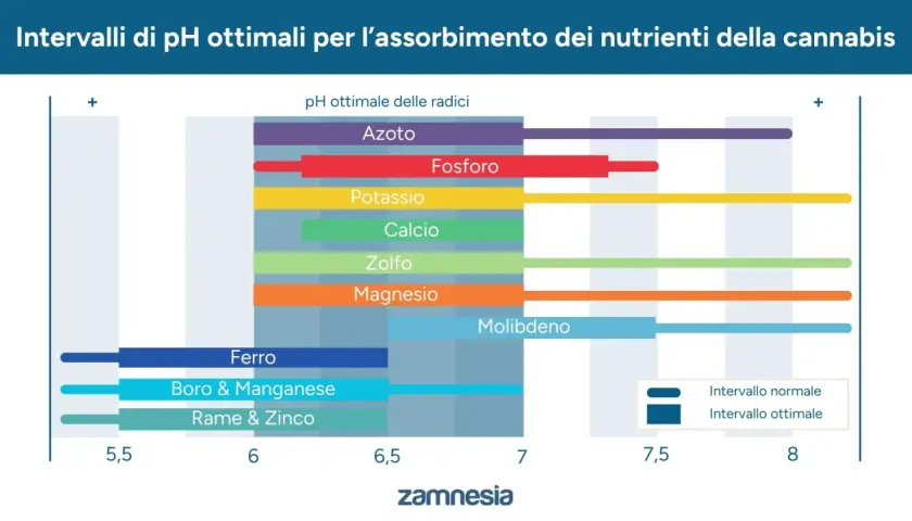 Grafico mostra gli intervalli di pH ottimali per l'assorbimento dei nutrienti della cannabis, essenziali per una crescita sana.