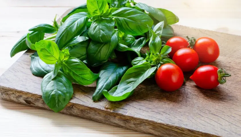 Un fascio di basilico fresco e pomodorini ciliegino su un tagliere di legno. La luce del sole illumina il basilico, creando un'esposizione perfetta per un'insalata estiva.