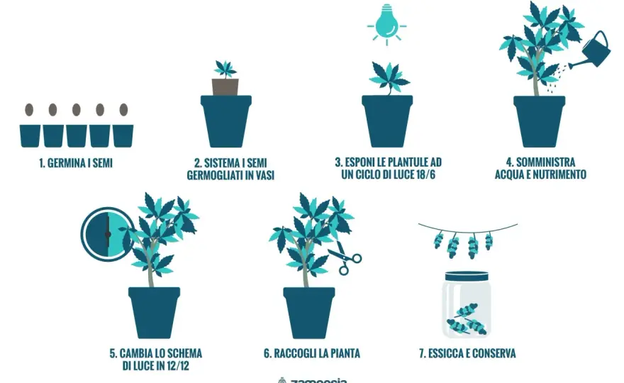 Sinotimer - Guida completa: Imposta e usa in coltivazione indoor