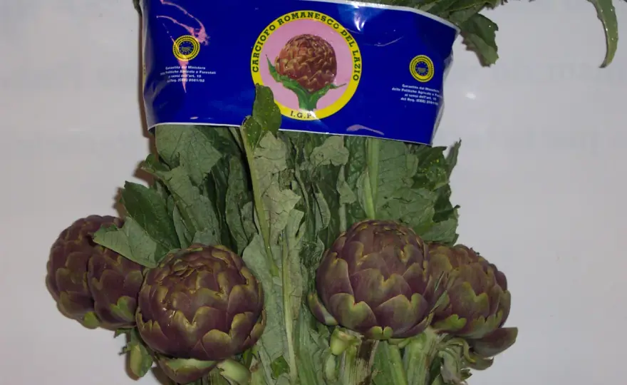 Carciofo Romanesco - Coltivazione perfetta? Scopri come!