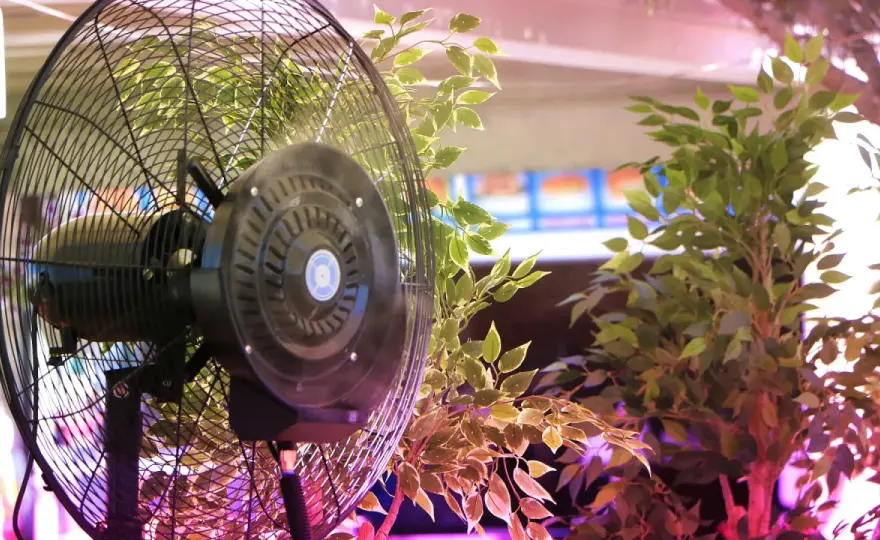 Ventilatore grow box sempre acceso? La verità per piante sane