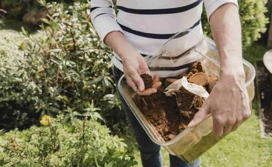 Fertilizzante naturale fai da te - Funziona davvero?