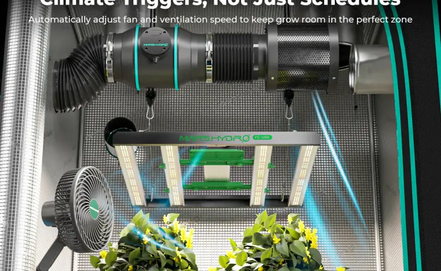 Fan Clima per Grow Box - Guida Definitiva per un Microclima Perfetto
