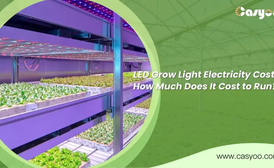 Costo grow box - Consumi reali, kWh e come risparmiare