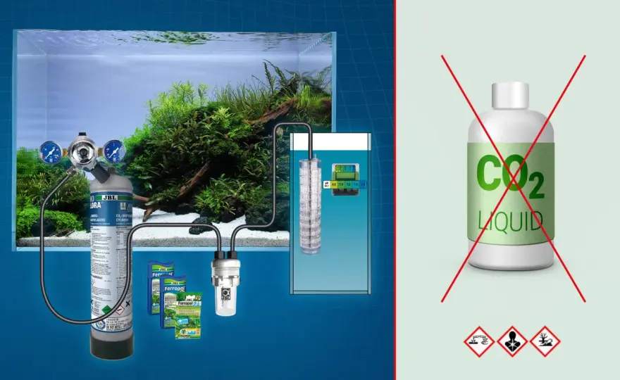 CO2 liquida - Quando conviene usarla davvero in coltivazione e acquario?