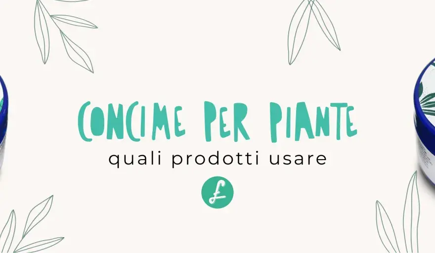 Concime piante - Guida completa a nutrienti, carenze e pH