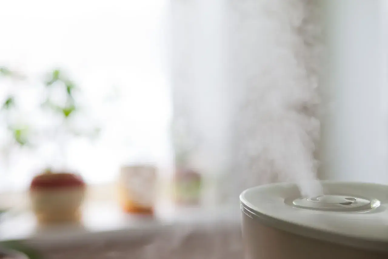 Vapore esce da un umidificatore, creando un'atmosfera rilassante. Sullo sfondo, piante in vaso.