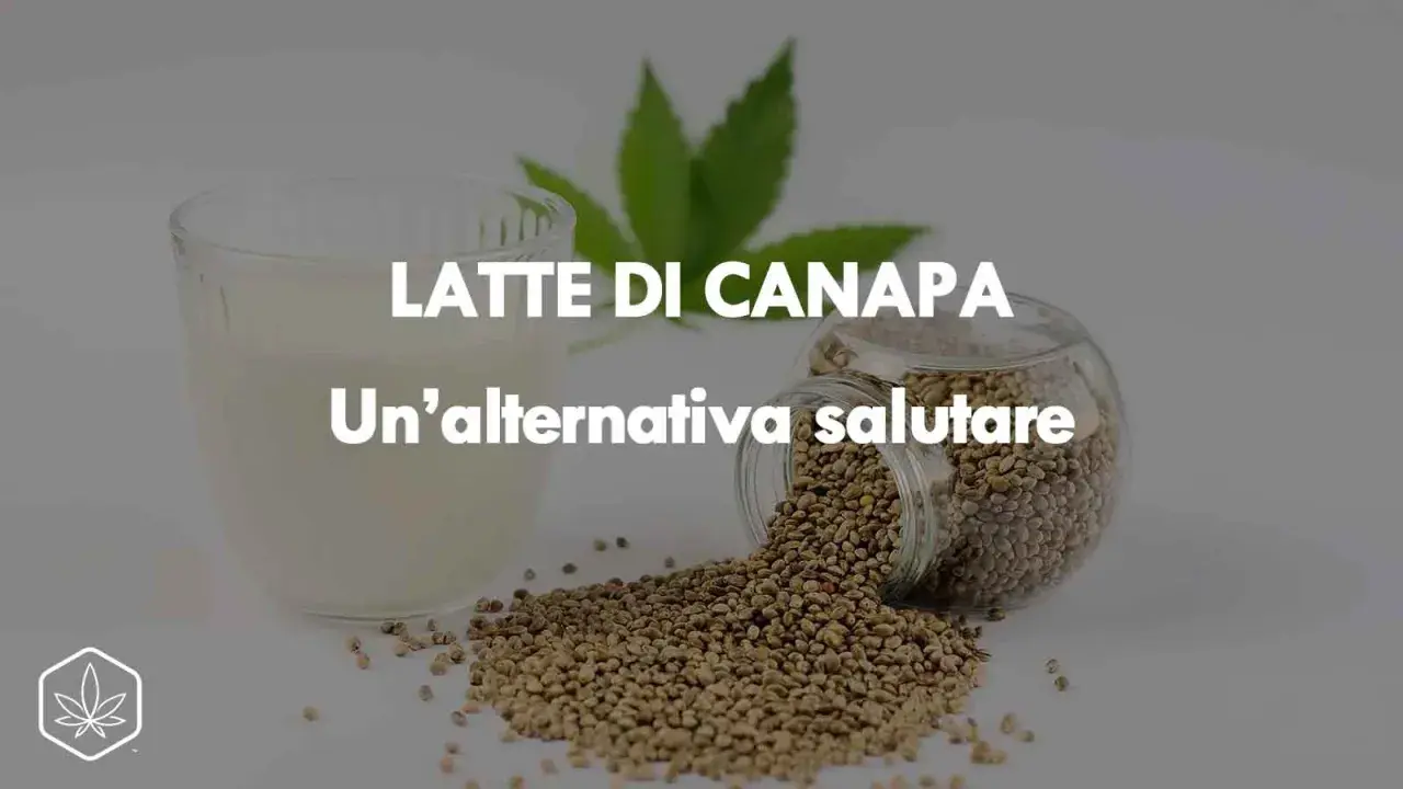 Un bicchiere di latte di canapa accanto a semi di canapa sparsi. Un'alternativa salutare per la tua dieta.