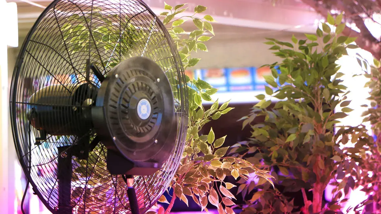 Ventilatore sempre acceso in una grow box, circondato da piante verdi. L'aria circola per garantire la crescita ottimale.