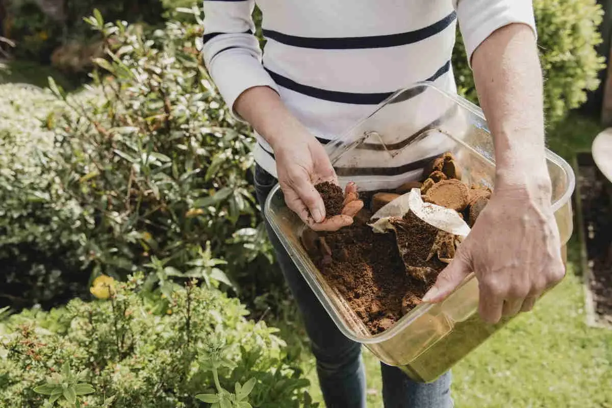 Mani che raccolgono fondi di caffè per creare un fertilizzante naturale fatto in casa, un gesto ecologico per il giardino.