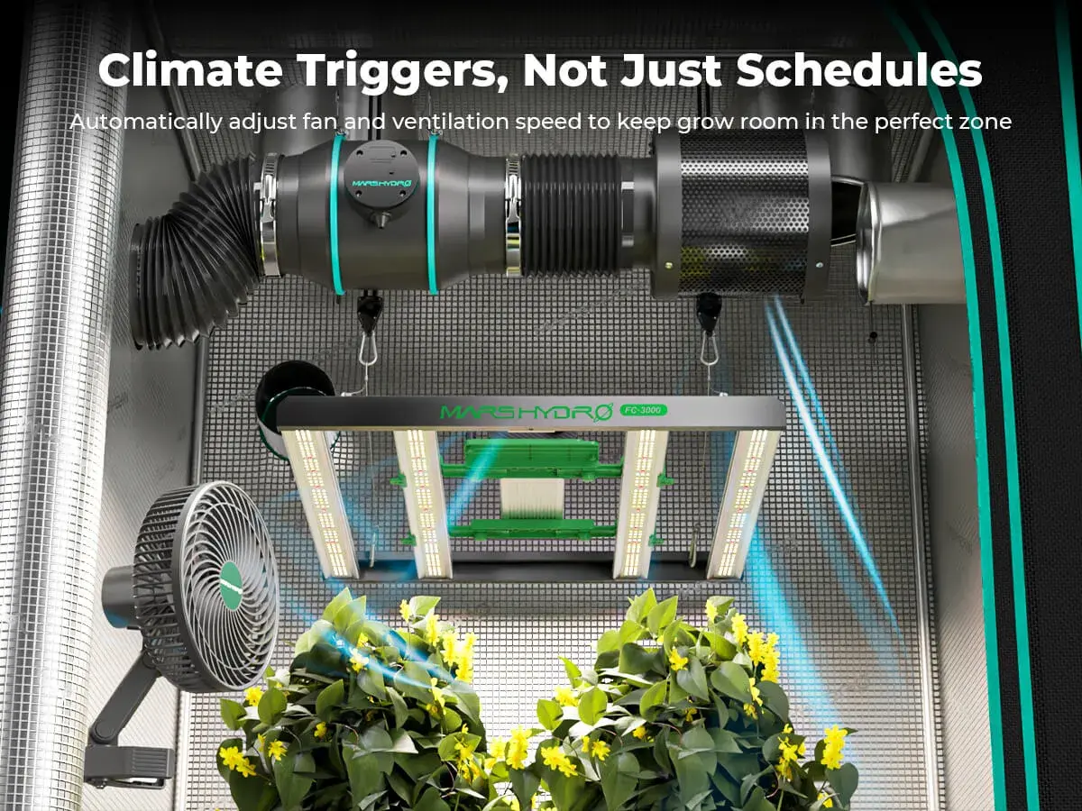 Un fan clima intelligente regola la ventilazione per piante rigogliose. Luce LED e sistema di aspirazione completano l'ambiente.