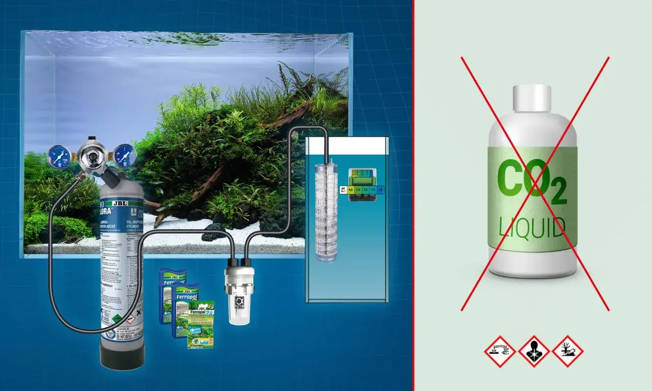 Sistema di fertilizzazione CO2 per acquario con bombola JBL, diffusore e misuratore pH. Evitare l'uso di CO2 LIQUID.